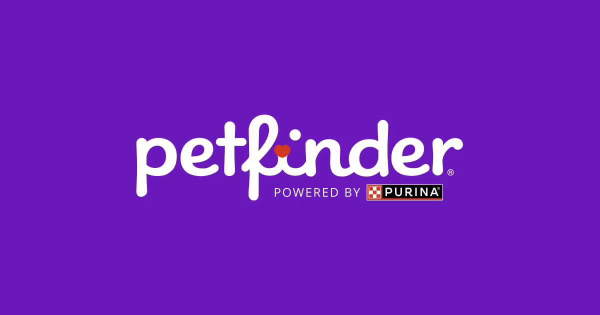 Petfinder