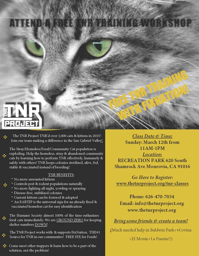 Trap Neuter Return
